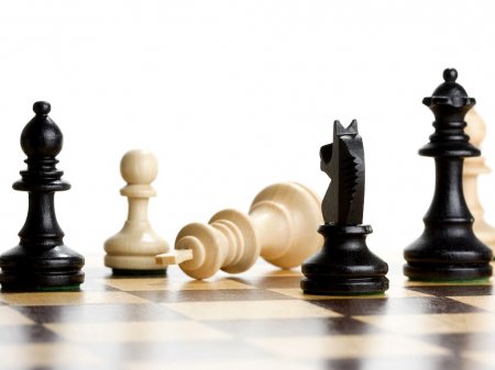 В Пущино состоялся 15-й турнир по быстрым шахматам